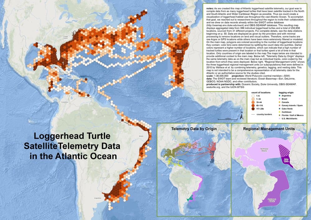 We published the first comprehensive map of loggerhead turtle movements in the Atlantic.