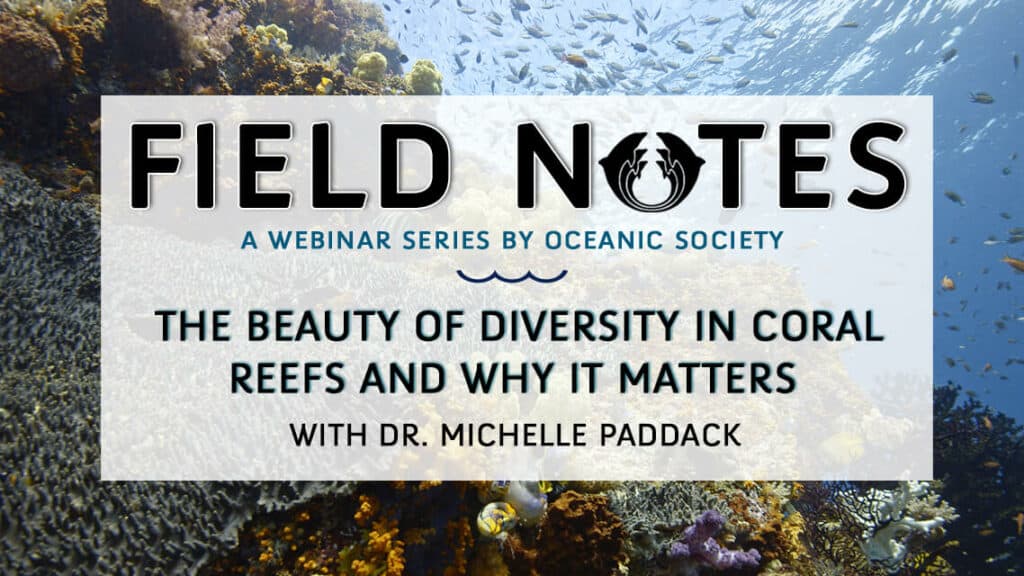 Field Notes: Coral Reefs with Dr. Michelle Paddack - Oceanic Society