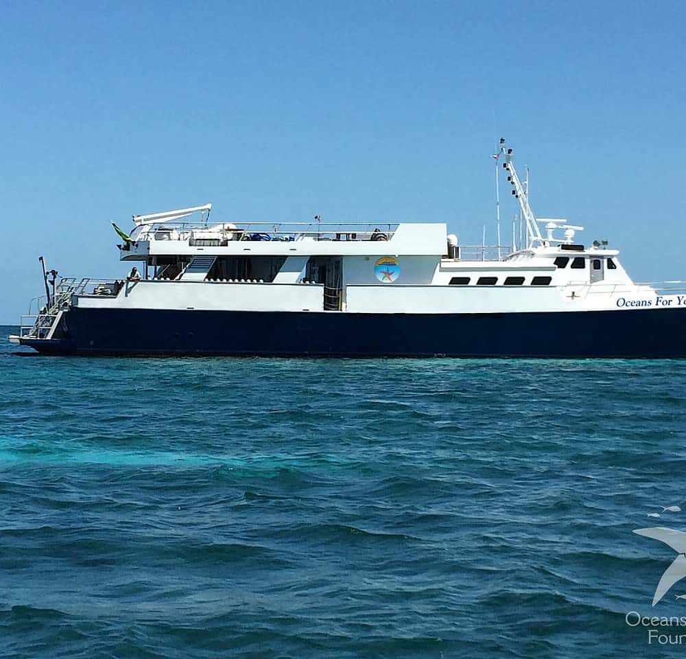 Cuba Liveaboard Snorkeling