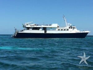 Cuba Liveaboard Snorkeling