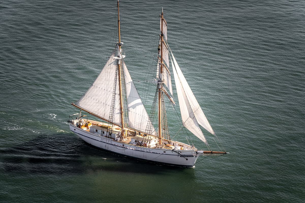 Matthew Turner San Francisco Tall Ship - Oceanic Society