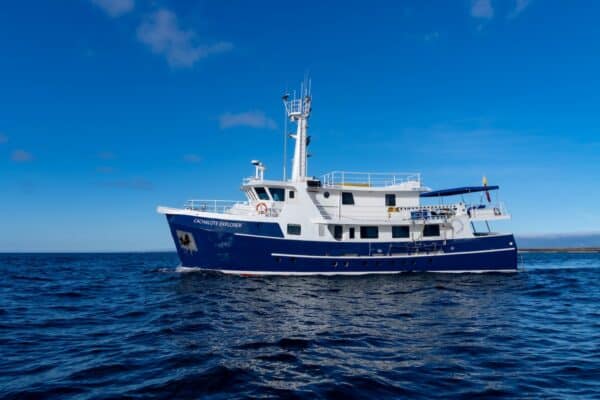 Cachalote Explorer exterior