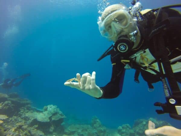 Scuba diver poses in front of reef in Palau