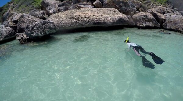 snorkeling in puerto rico