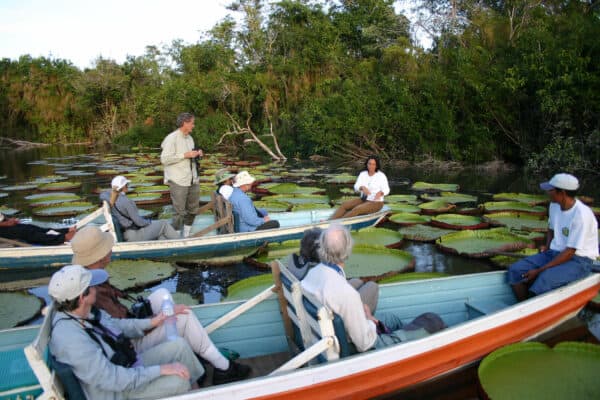 Tour to see giant water lily