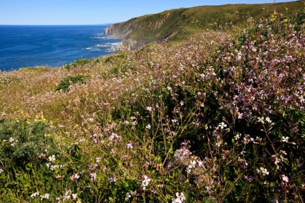 Point Reyes National Seashore