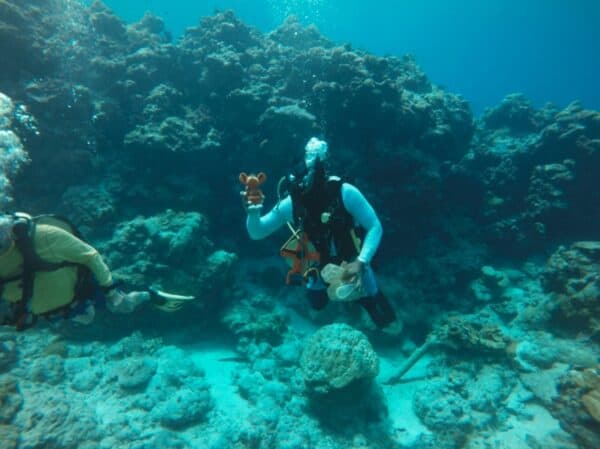 scuba diver holds up found items along Palau reef