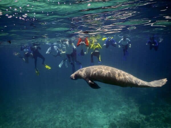 belize volunteering