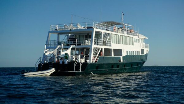 Cuba liveaboard Jardines Avalon 3
