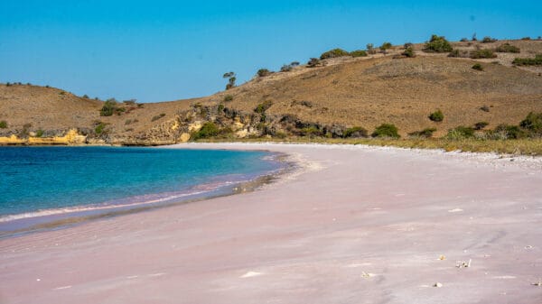 Pink Beach, Komodo, Indonesia