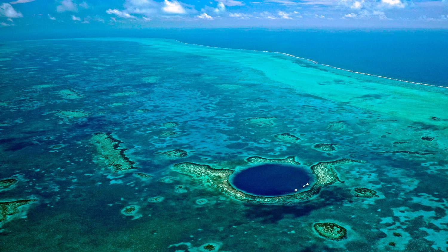 Belize Snorkeling Trips to Turneffe Atoll Oceanic Society