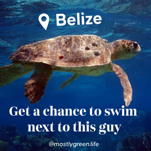 belize trip giveaway