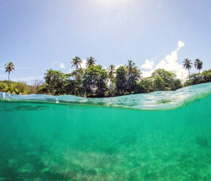 puerto rico nature tour