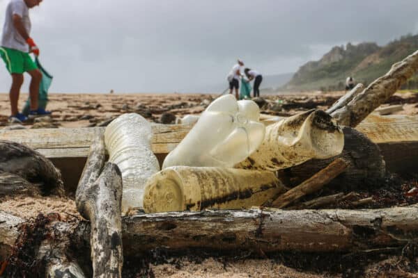 plastic cleanup beach