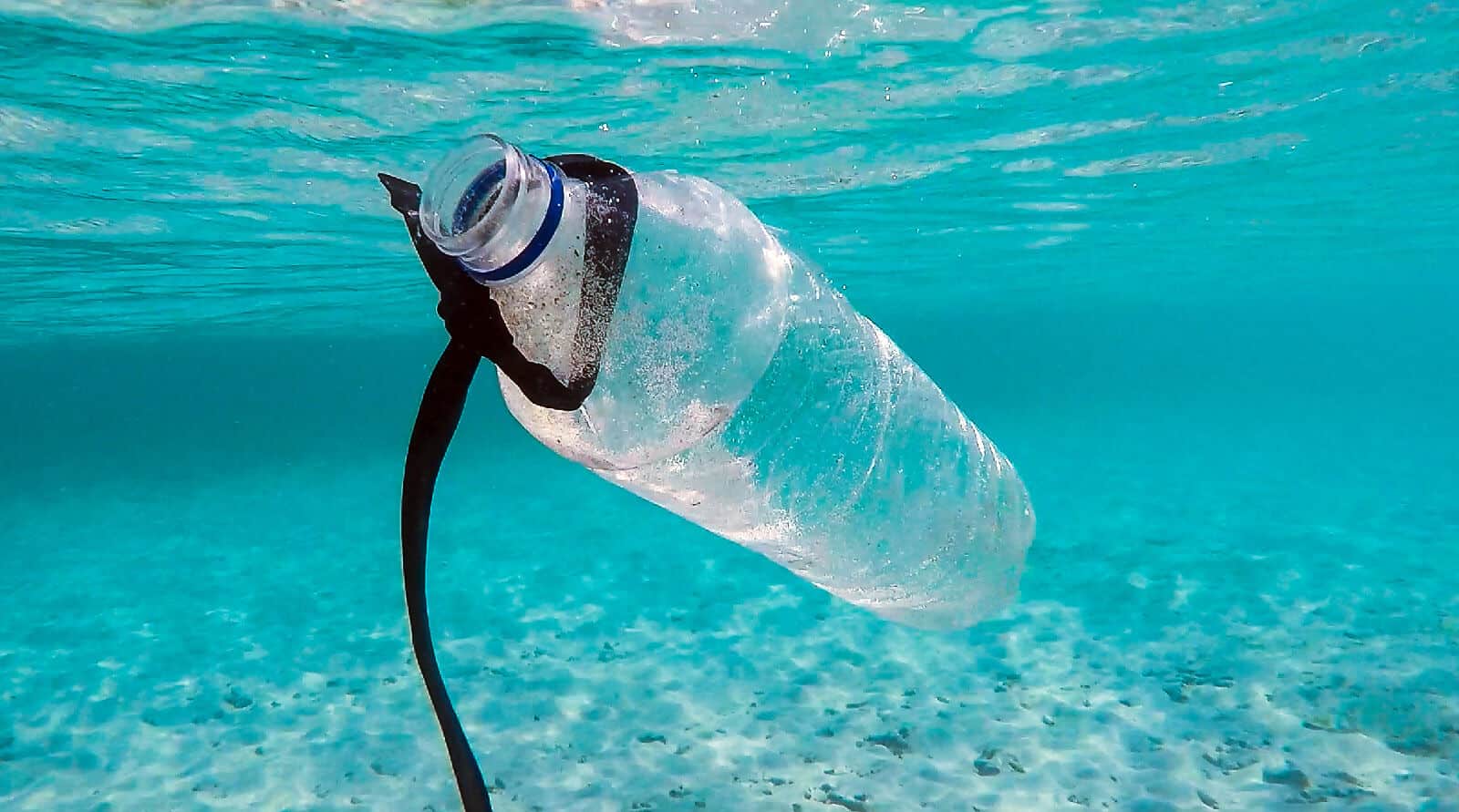 plastic pollution ocean