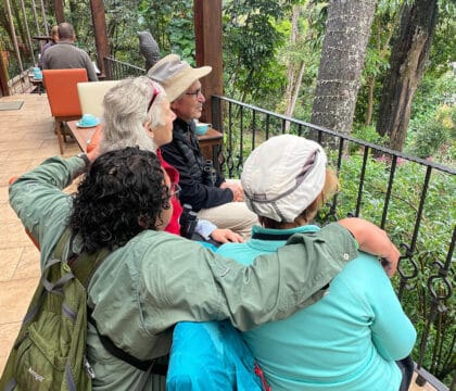 wildlife watching at breakfast