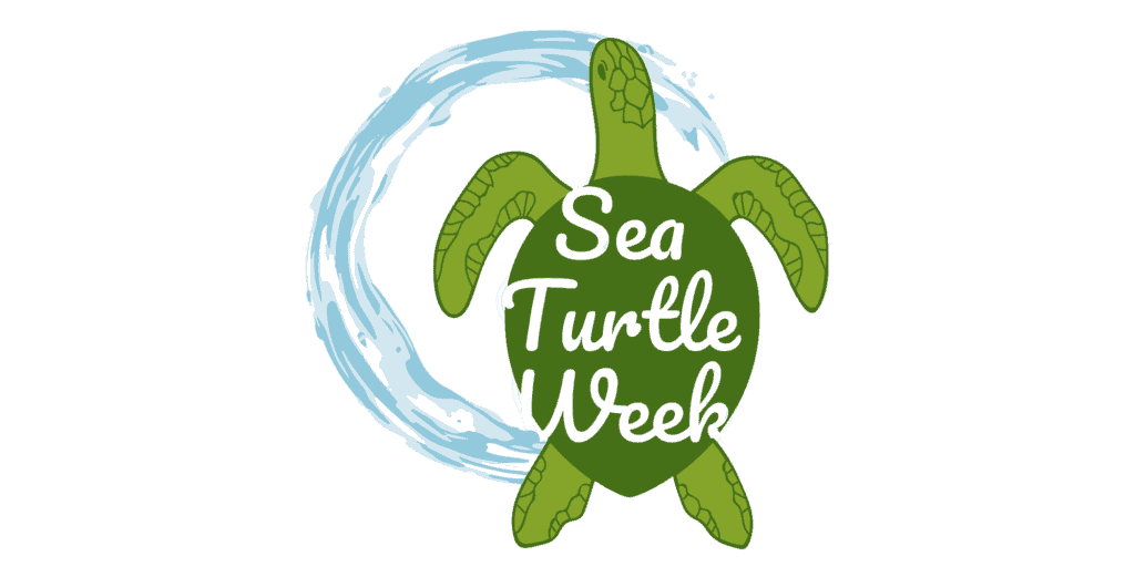 Turtle Week 2026 Global Ocean Cleanup - Join the Global Movement for Healthy Oceans