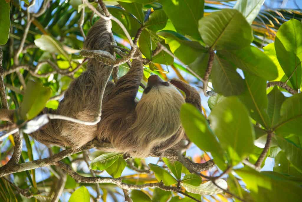 tucan travel costa rica