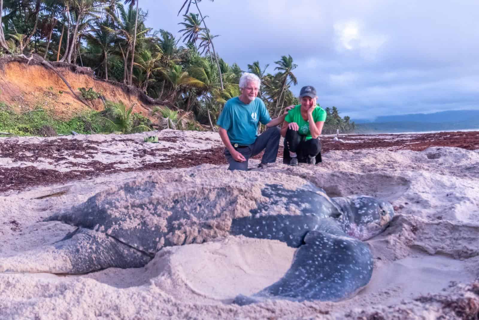 Cindy and Bosley observing a leatherback sea turtle nest near Matura, Trinidad.