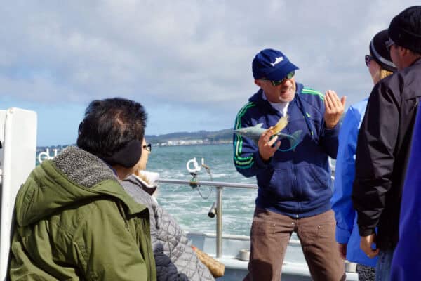 whale watching naturalist