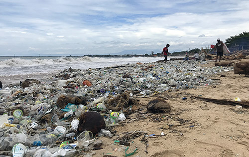 Bali beach collectors bali beach cleanup