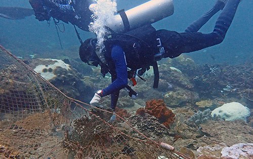 malaysia-underwater-cleanup underwater net cleanup in malaysia