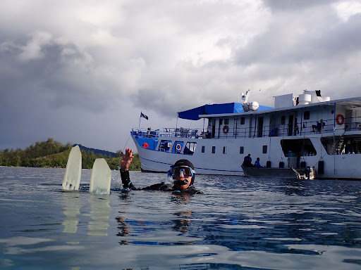 traveler snorkeling in Solomon Island from Bilikiki liveaboard boat