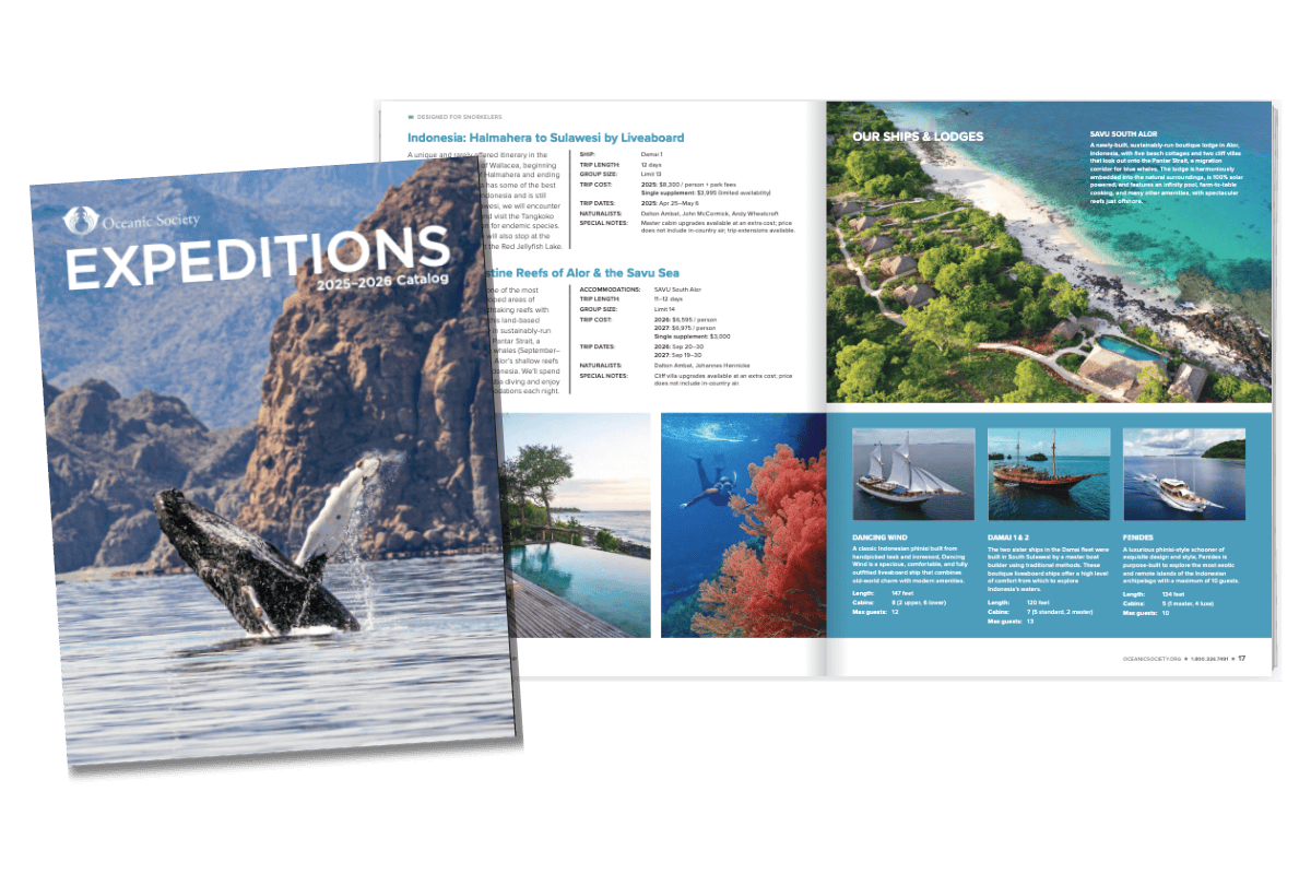 Expedition Impact Program - Travel that Advances Ocean Conservation