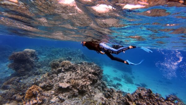 Underwater photo of a snorkeler in Fiji wearing a wetsuit at the surface, with the words “Let the sea set you free” printed on the back.