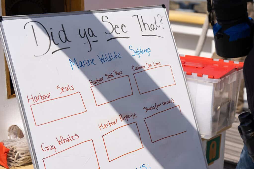 whiteboard for recording wildlife sightings