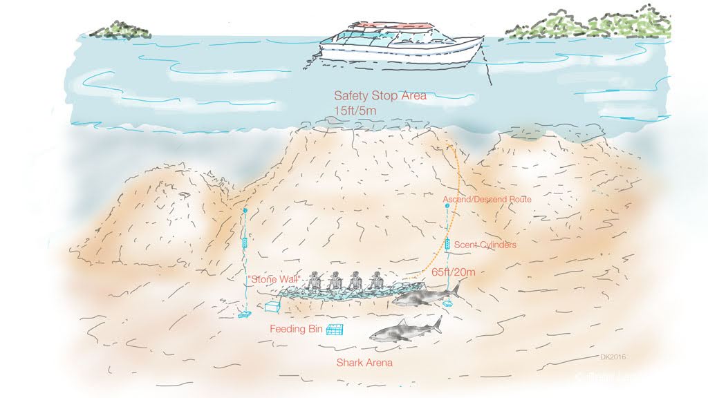 Diagram of The Cathedral dive site in Fiji’s Beqa Lagoon showing shark feeding area, stone safety wall, descent and ascent routes, depth markers, and key reef features.