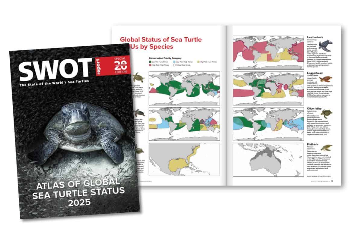 A graphic showing the 20th State of the World's Sea Turtles Report