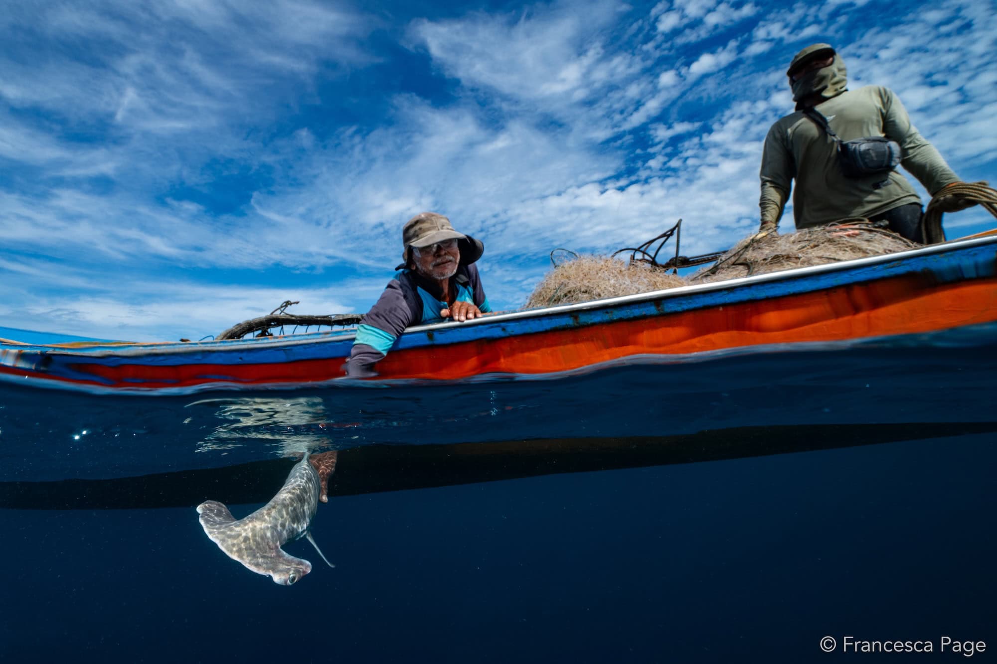 2026 Expedition Impact Grants for Ocean Conservation - Oceanic Society