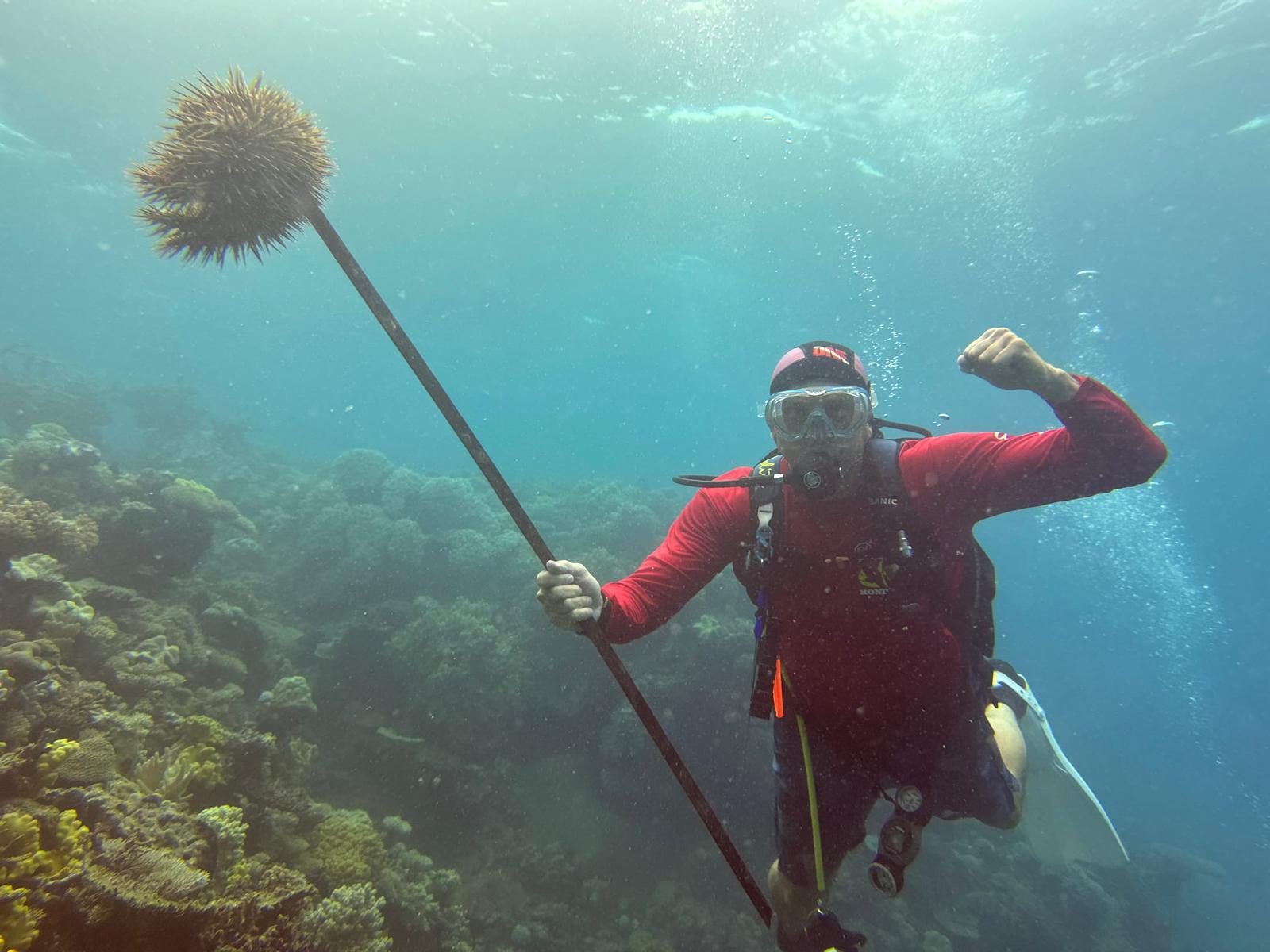 A scuba diver underwater on a coral reef, wearing a red long-sleeve dive shirt, holding a long pole with a large crown-of-thorns starfish impaled on the end, raising a fist in triumph while surrounded by coral formations.