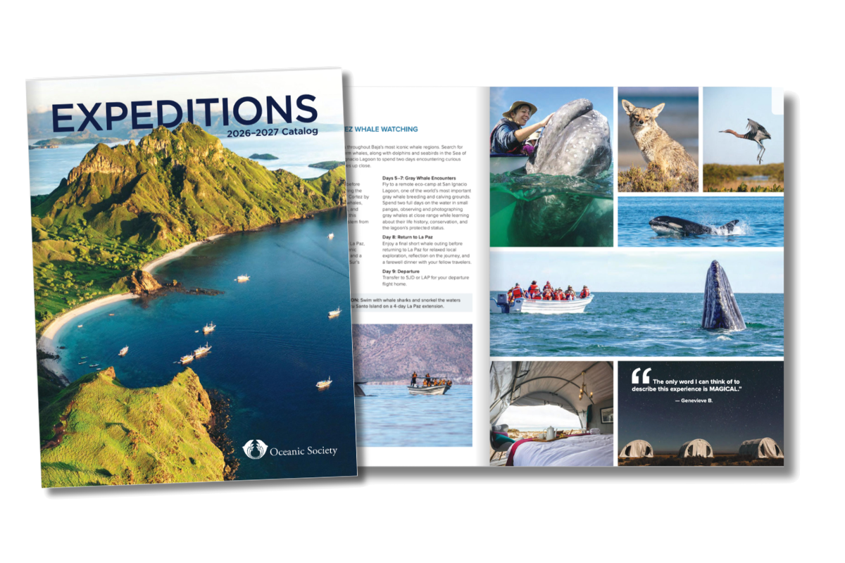 2026-2027 Catalog Graphic