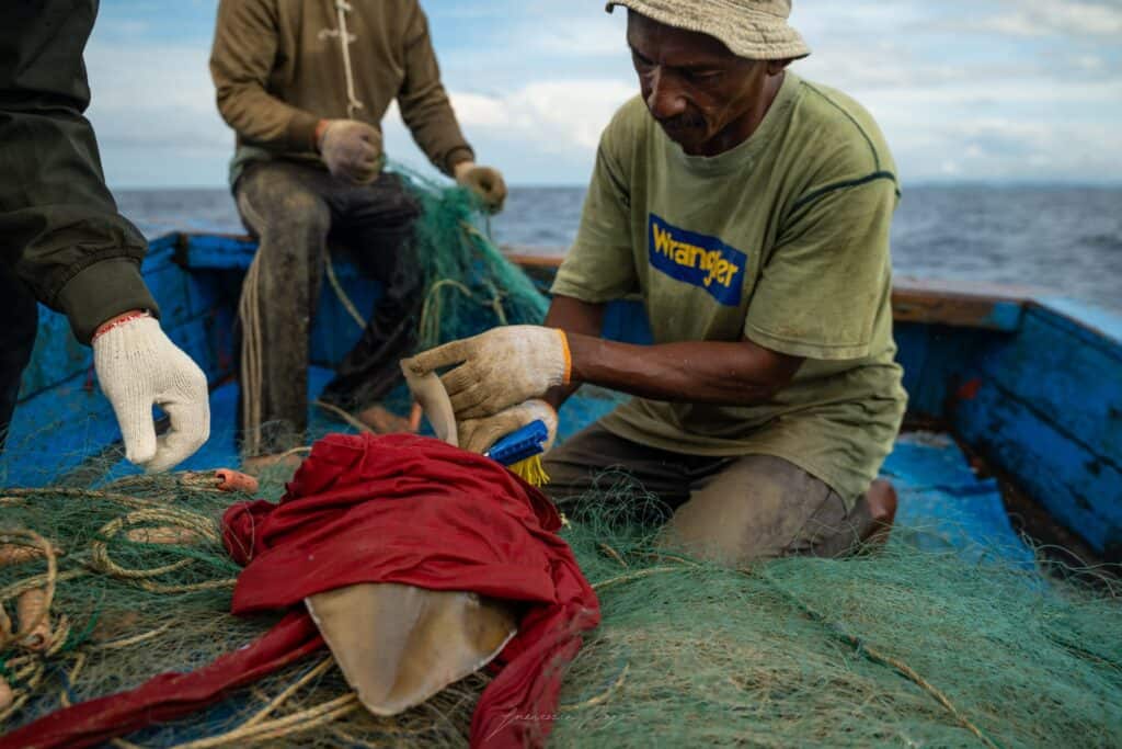 2026 Expedition Impact Grants for Ocean Conservation - Oceanic Society