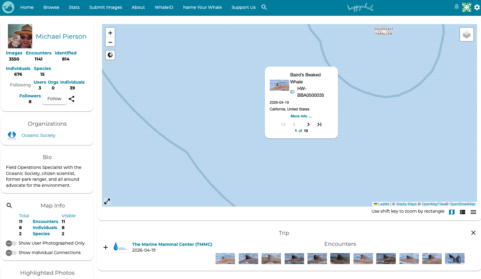 A HappyWhale database entry for a Baird's beaked whale catalogued as HW-BBA0500035, documented on April 19, 2026 off California, United States, showing the individual's profile photo and location plotted near Southeast Farallon Island.