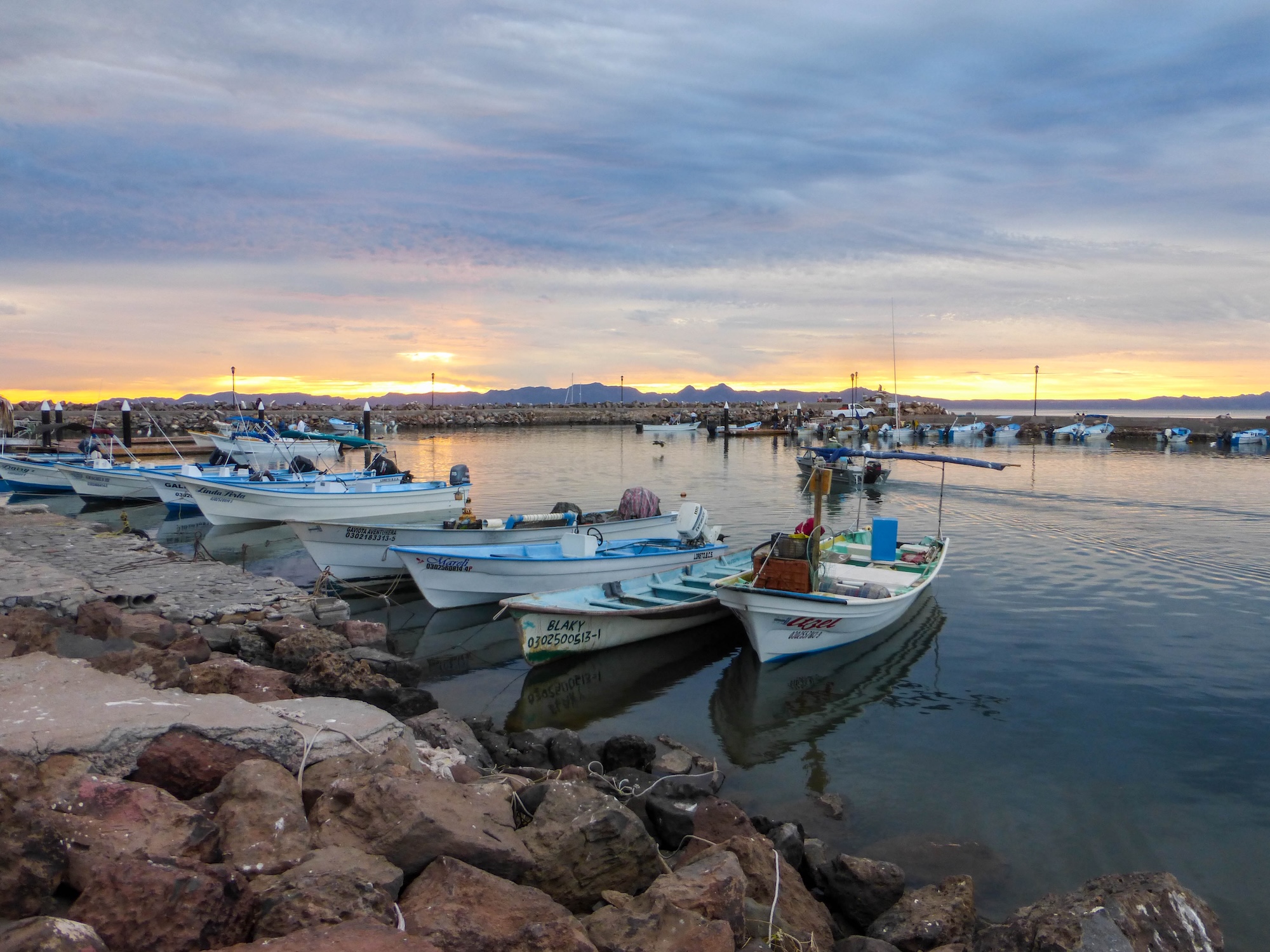 Traditional fishing pangas moored at the Loreto harbor at sunset