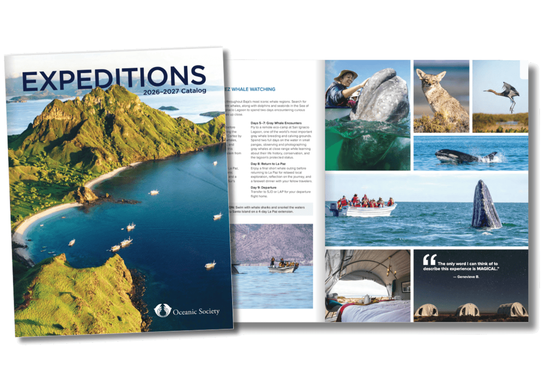 2026-2027 Catalog Graphic