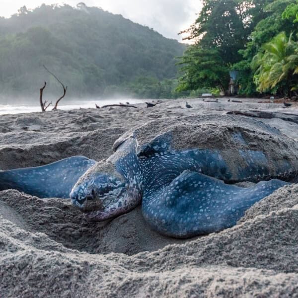 Adobe Express - file (9)