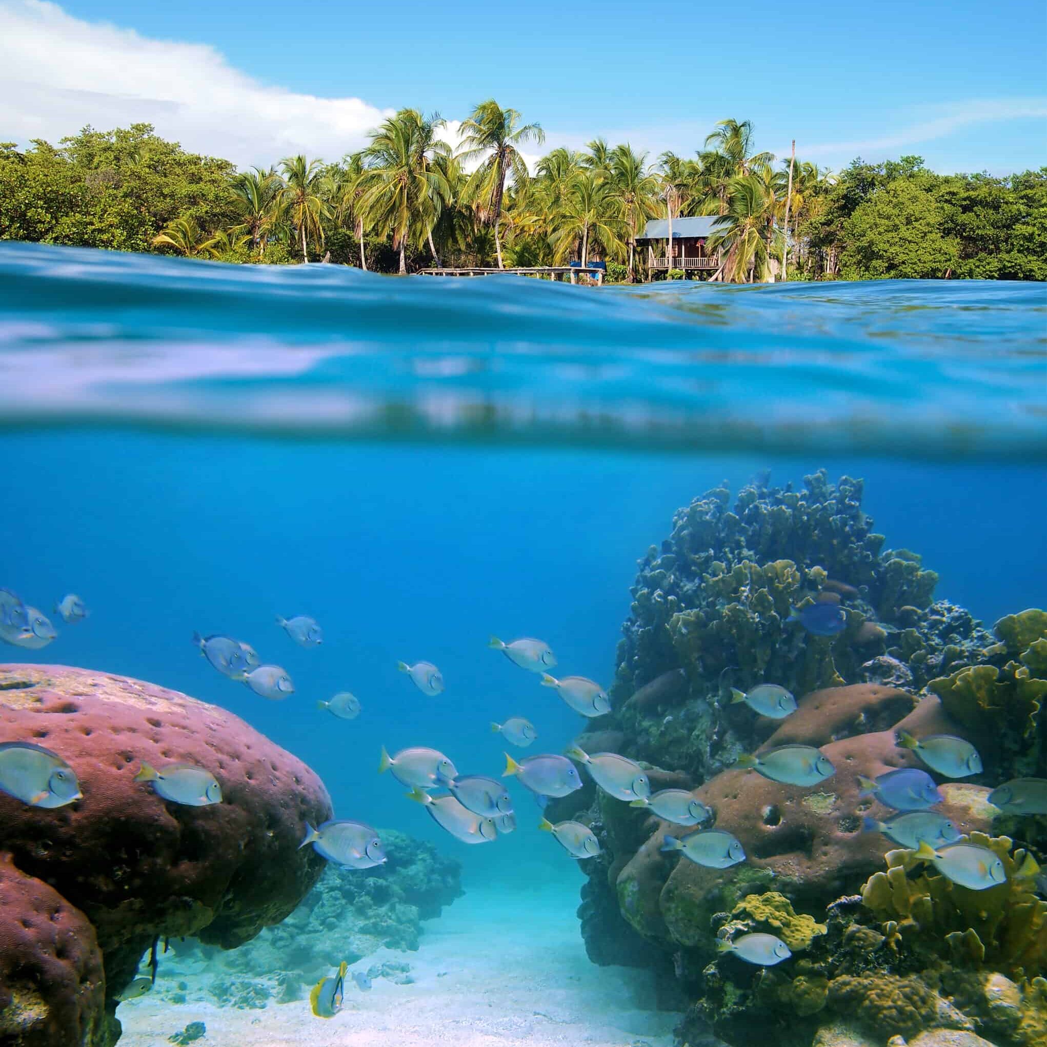 Bocas del Toro 2