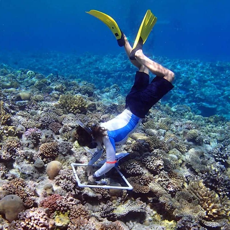 marine conservation volunteer trips